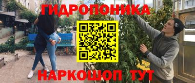 прущая мука Будённовск
