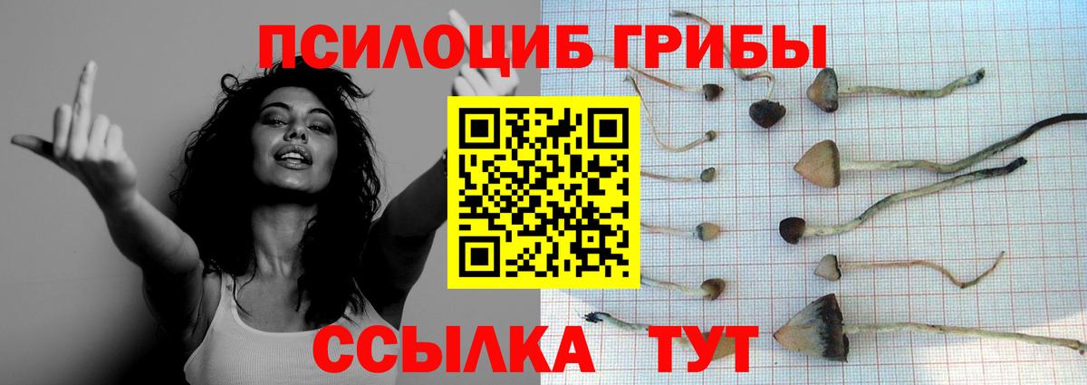 Псилоцибиновые грибы MAGIC MUSHROOMS Мирный